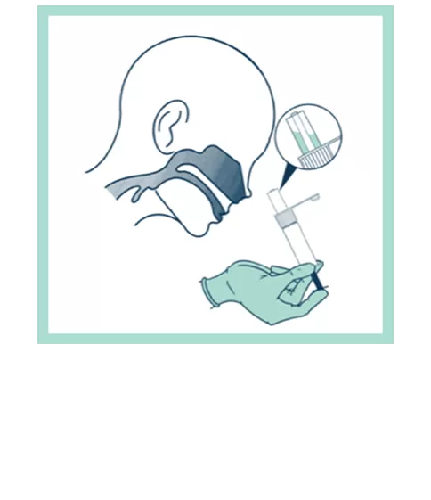 how to step12c 2025 how to step12c 2025