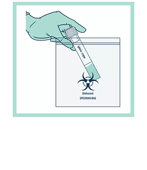 how to step17 2025 how to step17 2025